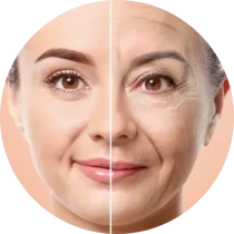 Anti Aging